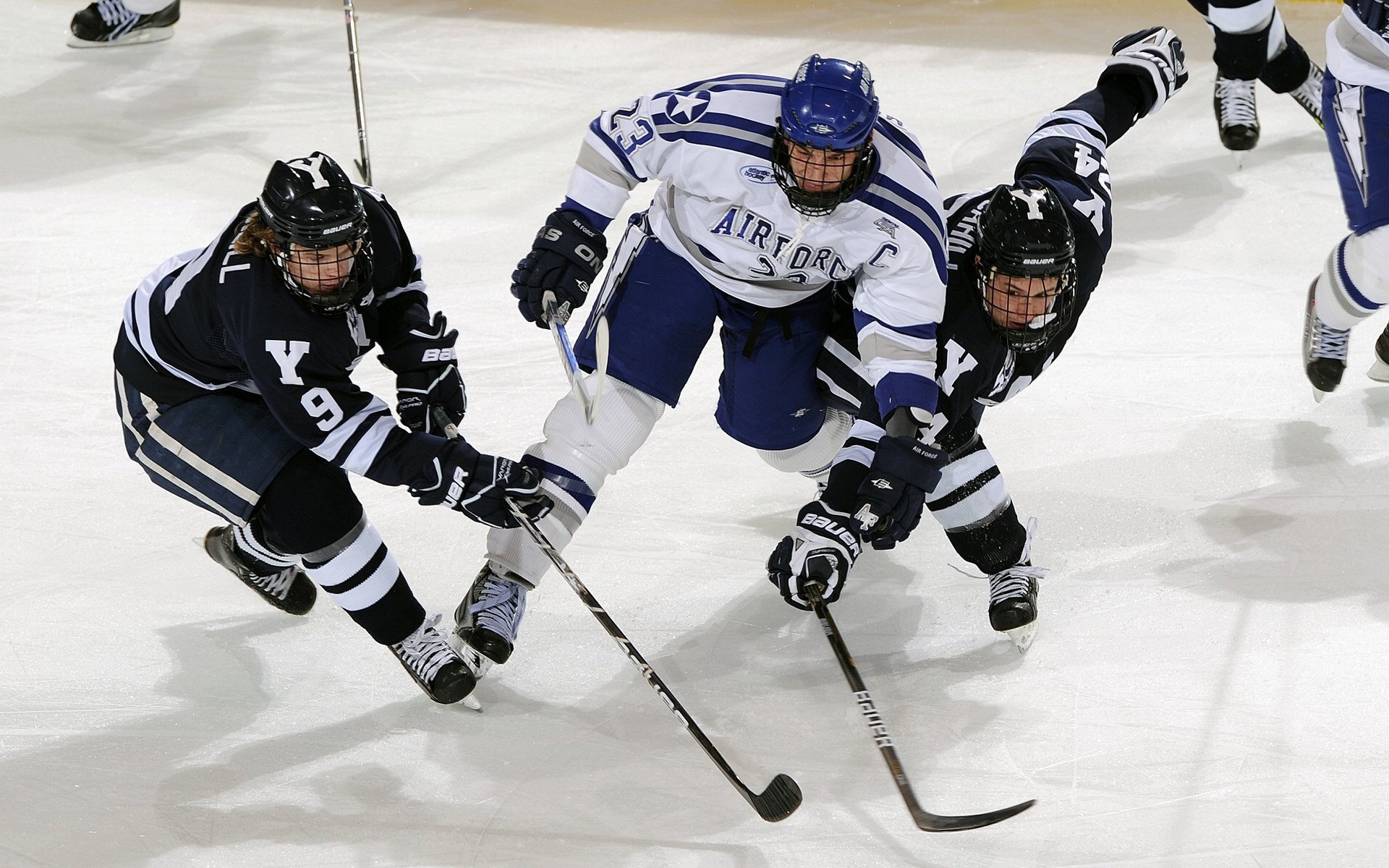 中国马拉松锦标赛上海站 选手们在美丽的黄浦江边展现风采，2020马拉松上海